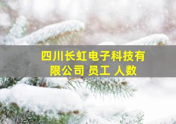 四川长虹电子科技有限公司 员工 人数